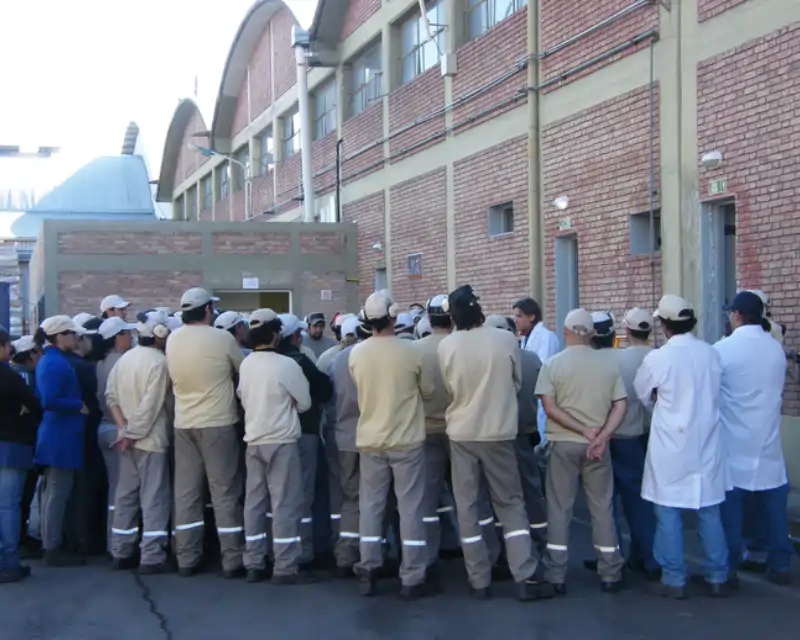 Grandes empresas orgánicas