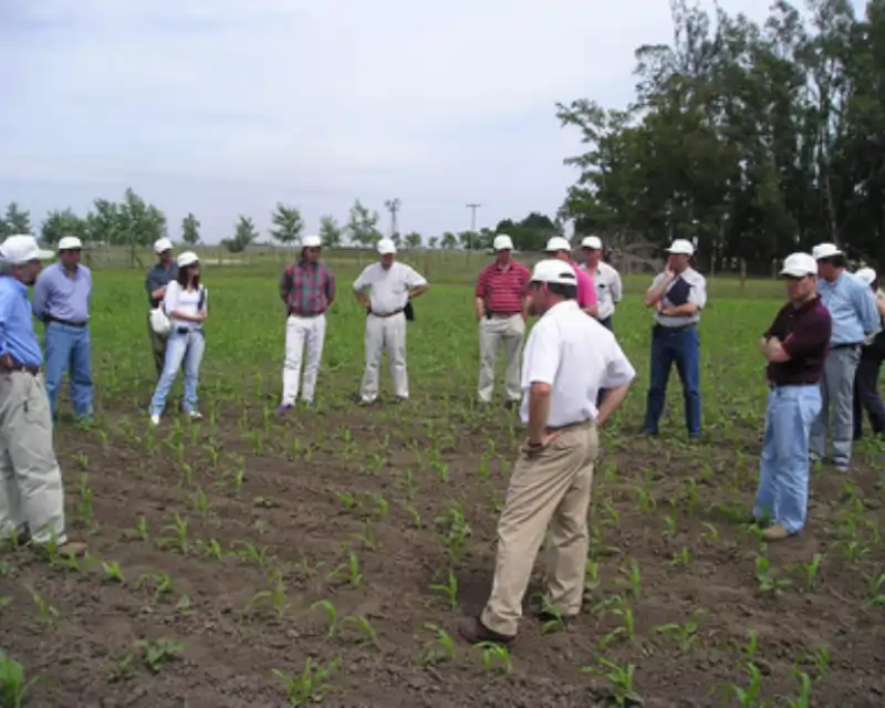 Estrategia Grupos de productores 'Prospera Rural' (orgánicos o en Conversión a orgánico)